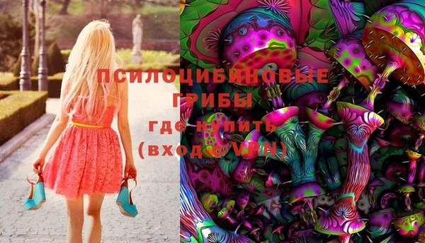 ешки Балахна