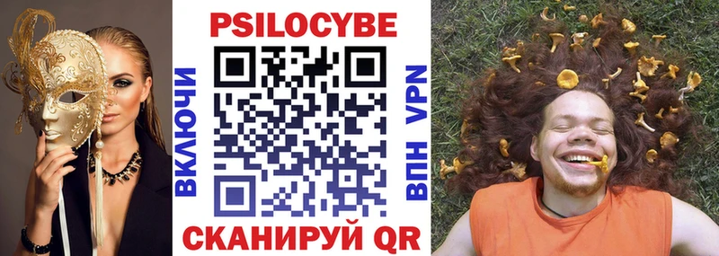 Псилоцибиновые грибы мицелий Купить где Городец