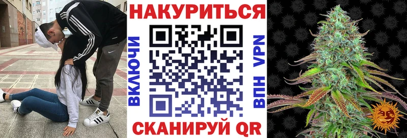 Купить где  Городец  Конопля индика 